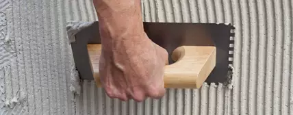 纤维素